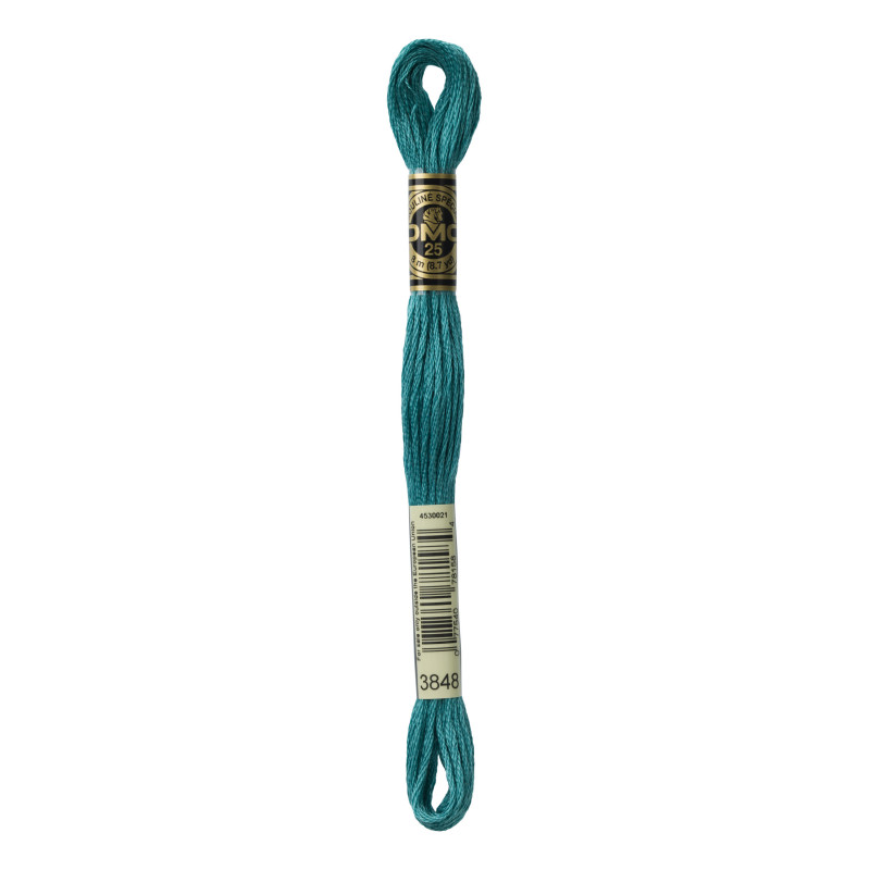 Moulinegarn DMC 117-3848
