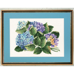 Hortensie