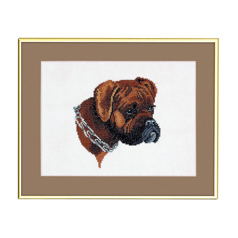 Boxer