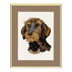 Ruhåret gravhund
