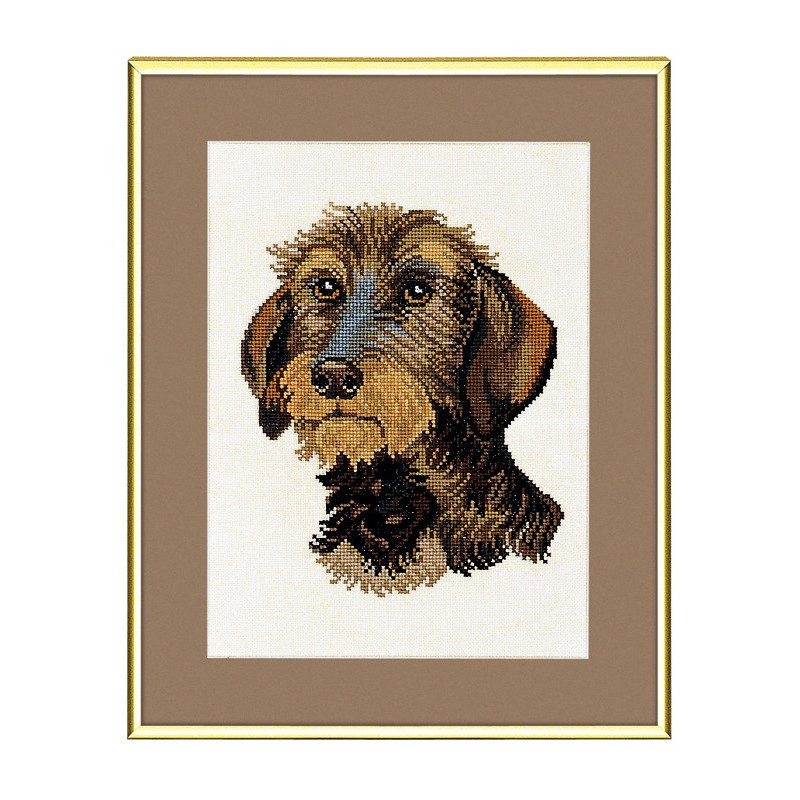 Ruhåret gravhund