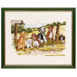 Kennels