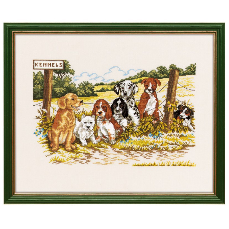 Kennels