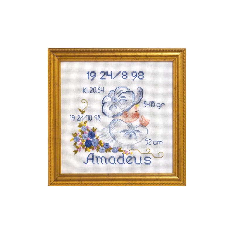 Dåb Amadeus  R 5420/8