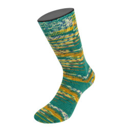 Cool wool Socks Print