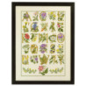 Blomster ABC  40x54cm