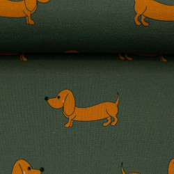 Orange gravhund