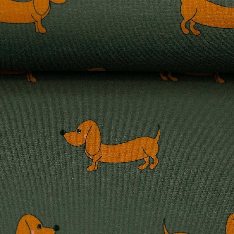 Orange gravhund