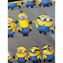 Minions