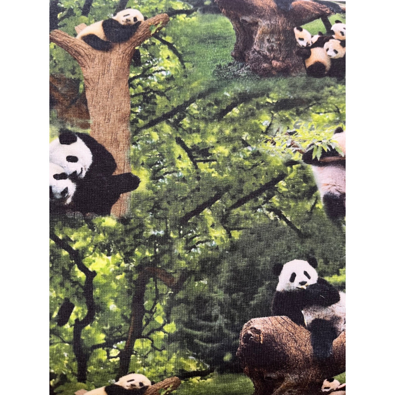 Pandaer i træer