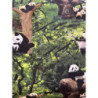 Pandaer i træer