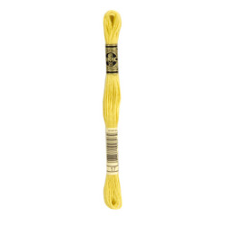 Moulinegarn DMC 117-17
