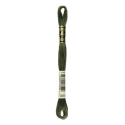 Moulinegarn DMC 117-3051
